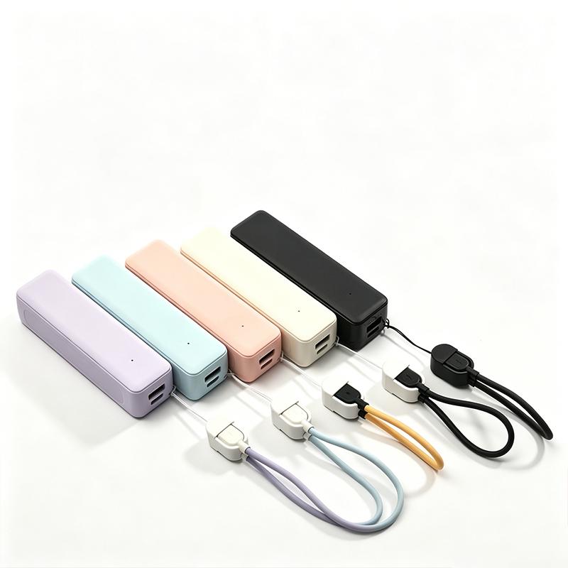 21700 Battery Power Bank Case  - đánh giá và giá Diy Electronics Organizer